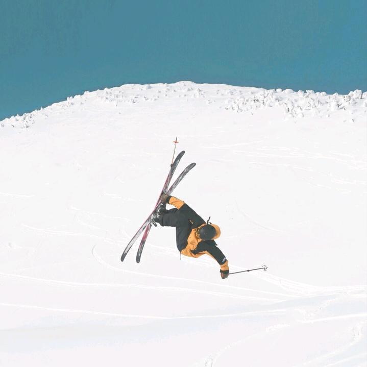 马铃薯