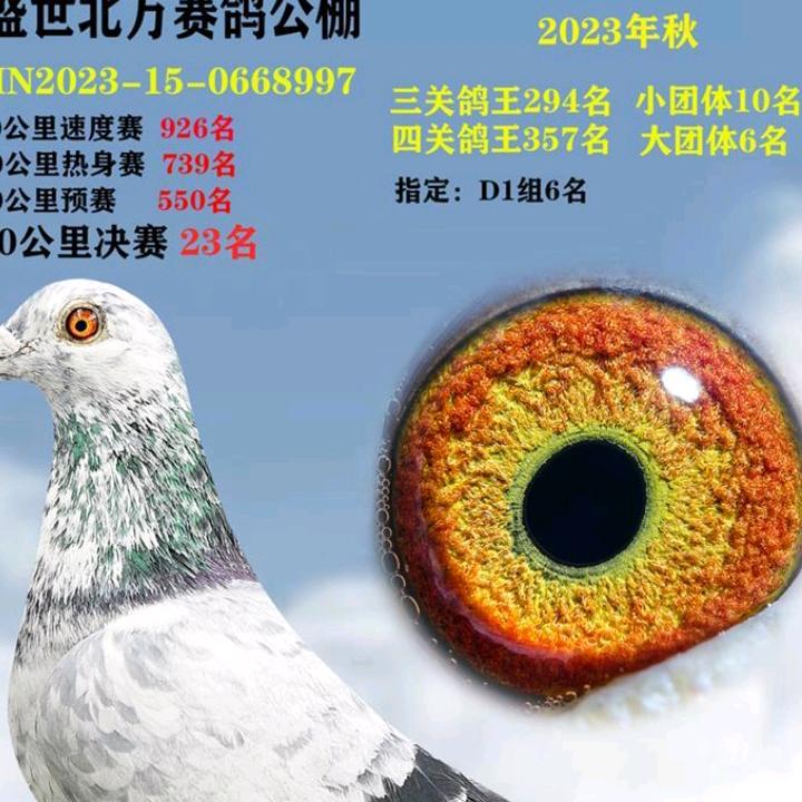 大哥创业邢以峰