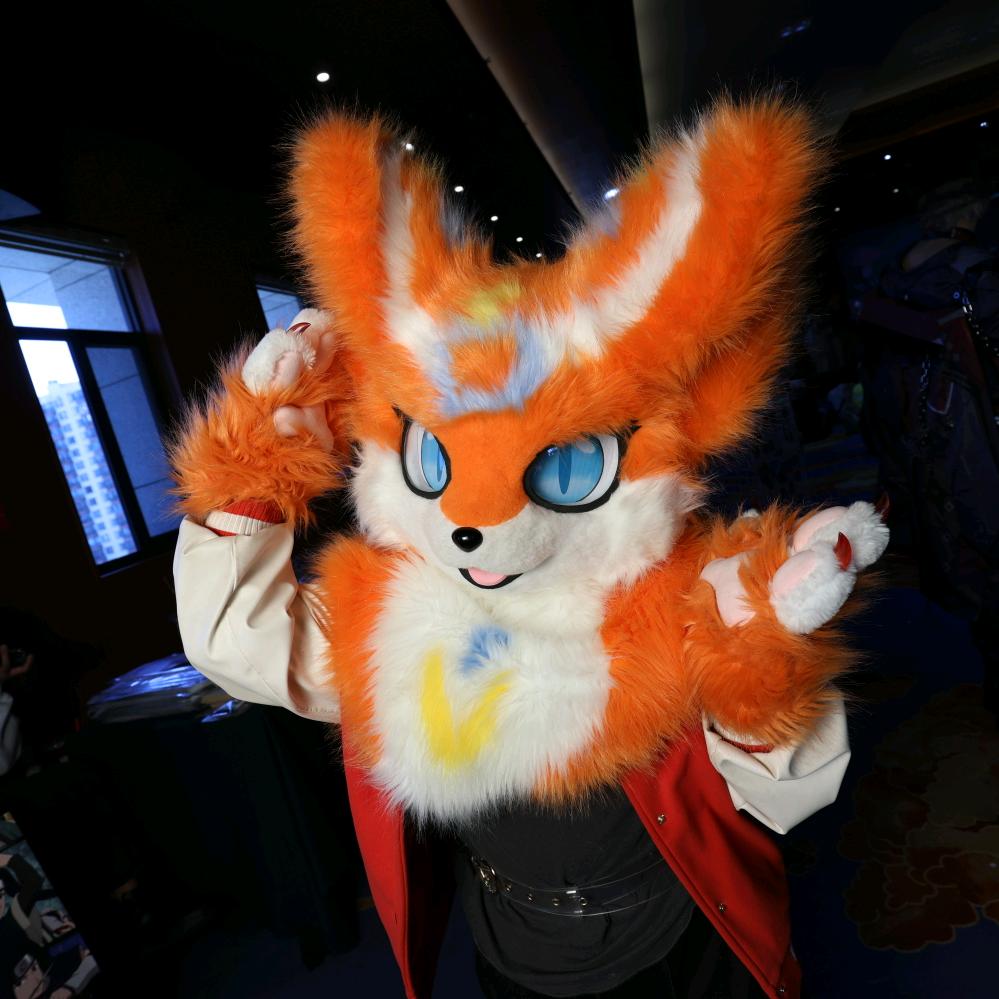 一只小陈（小号）