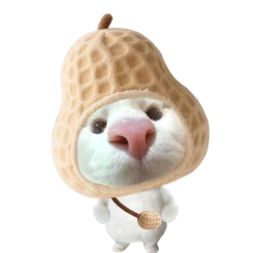 憨小粽🍧