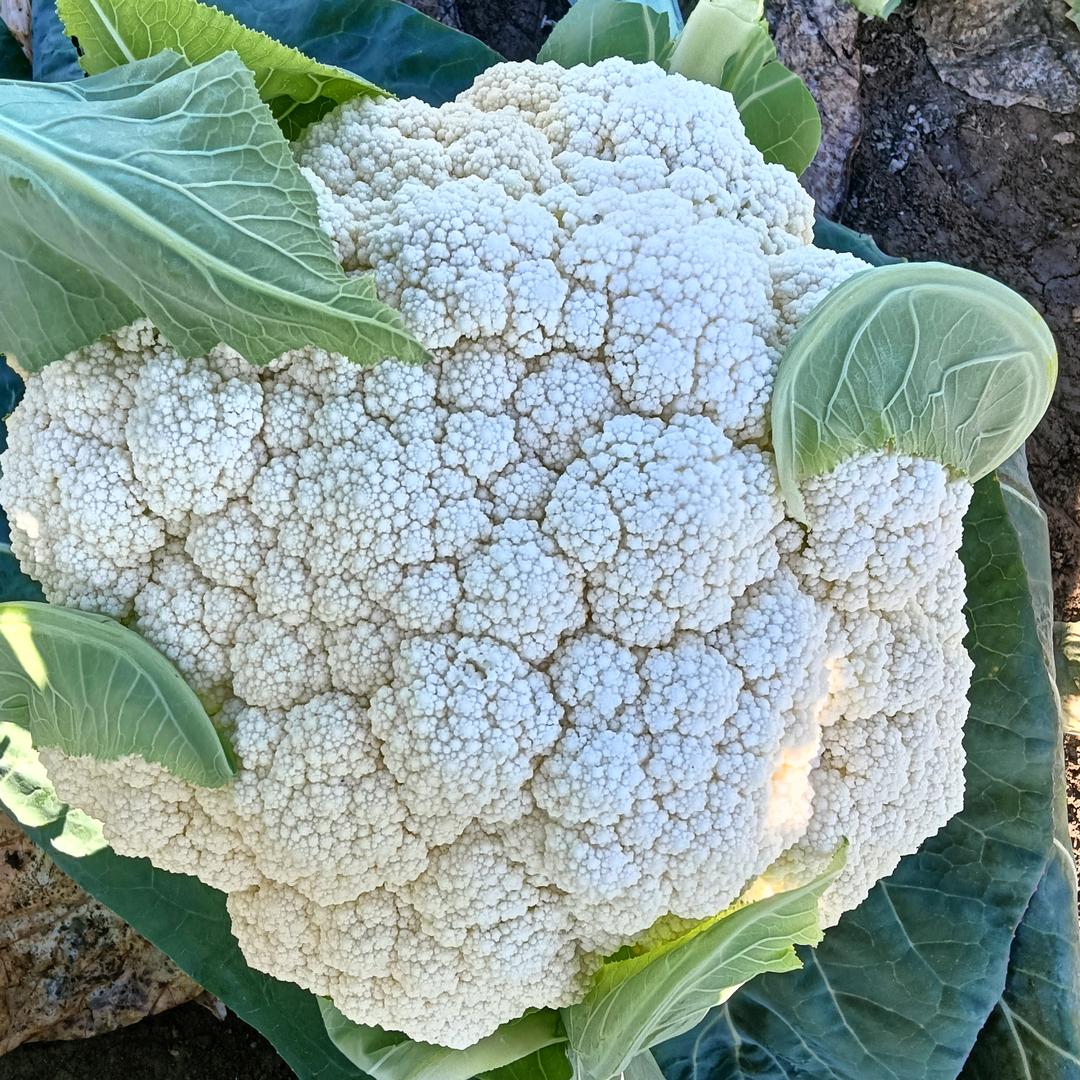 💪选择大于努力💪