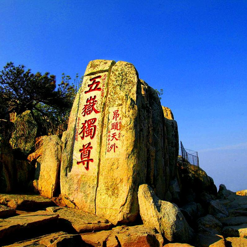 泰山养生