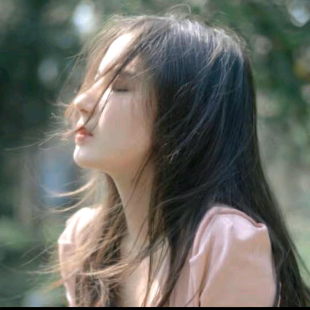 浪花追剧