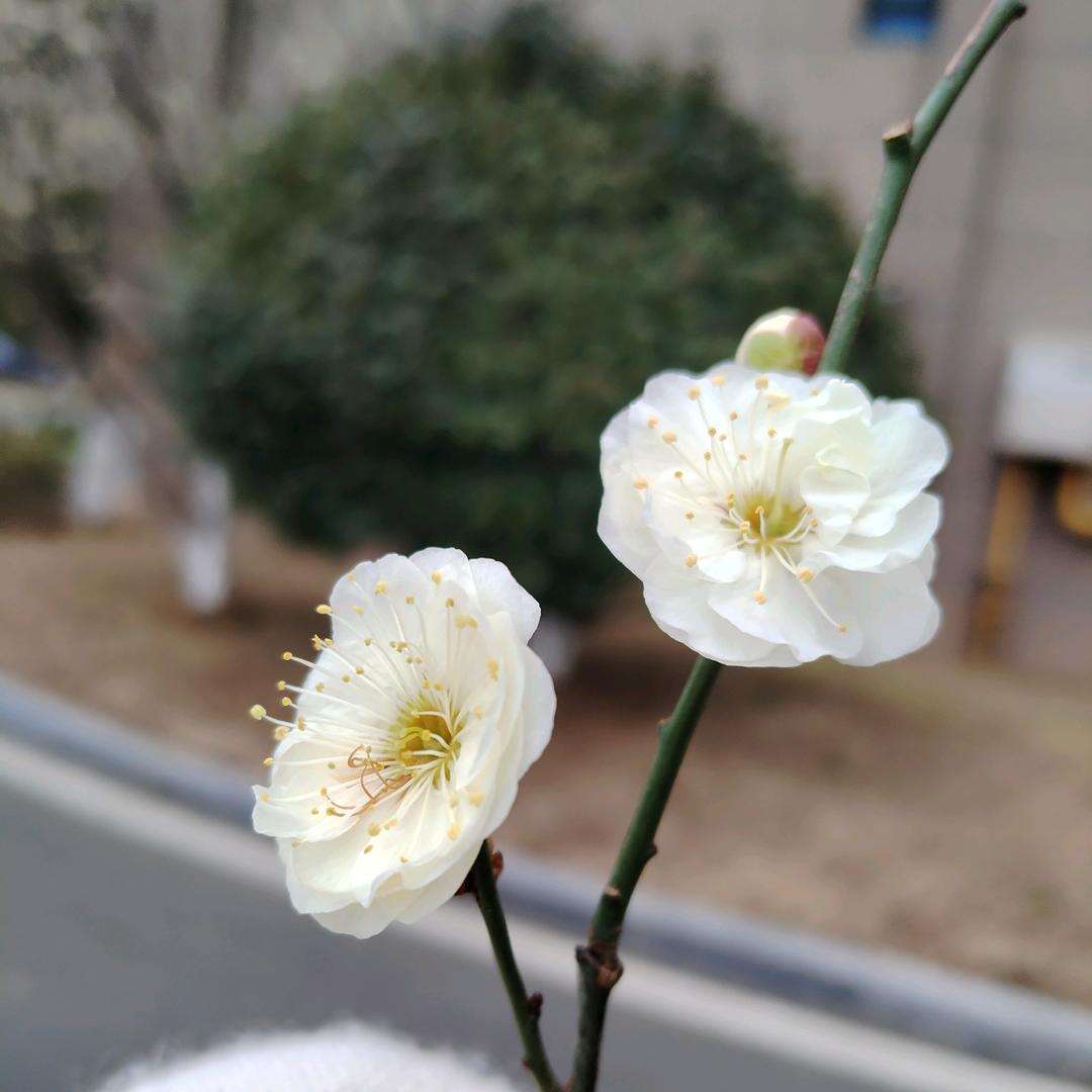 张生👨‍👩‍👦‍👦