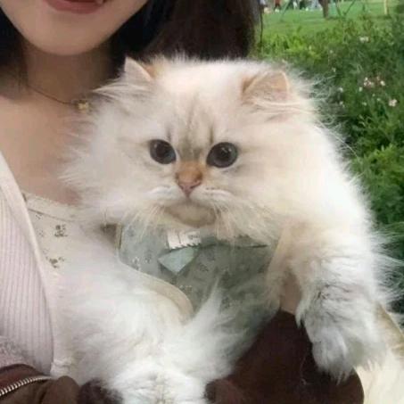 泗水头像
