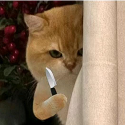 壮士留步🖐🏻️