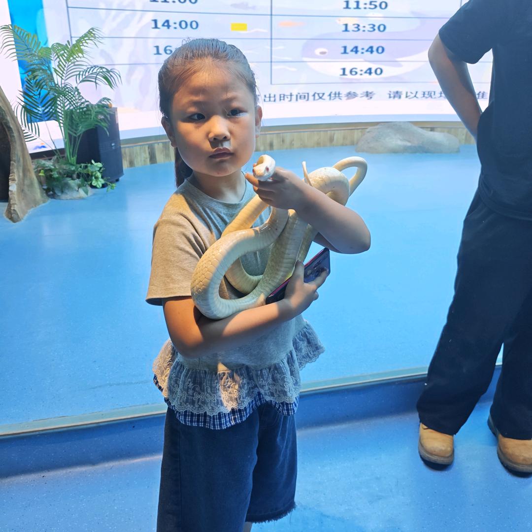 带着姑凉玩小🐍