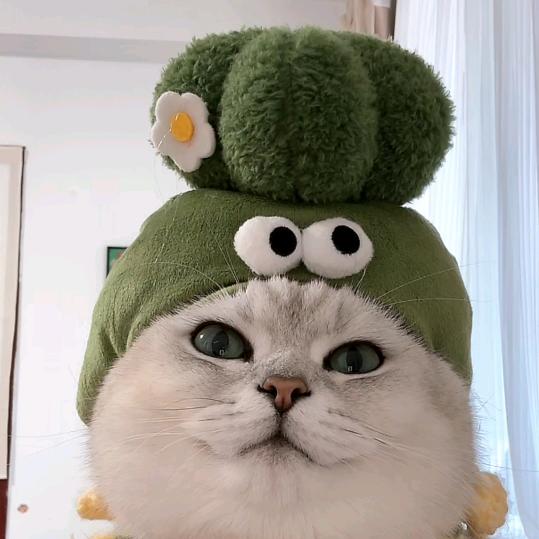 没有人能让我睡着