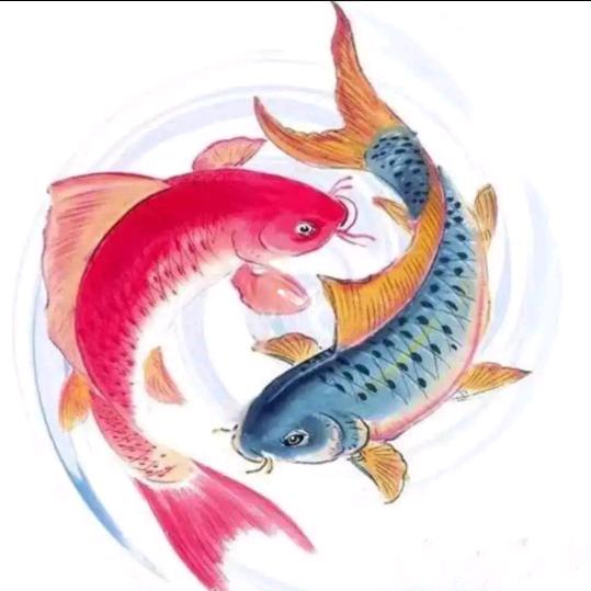没有助理(不会主动私信任何人)主动是骗子
