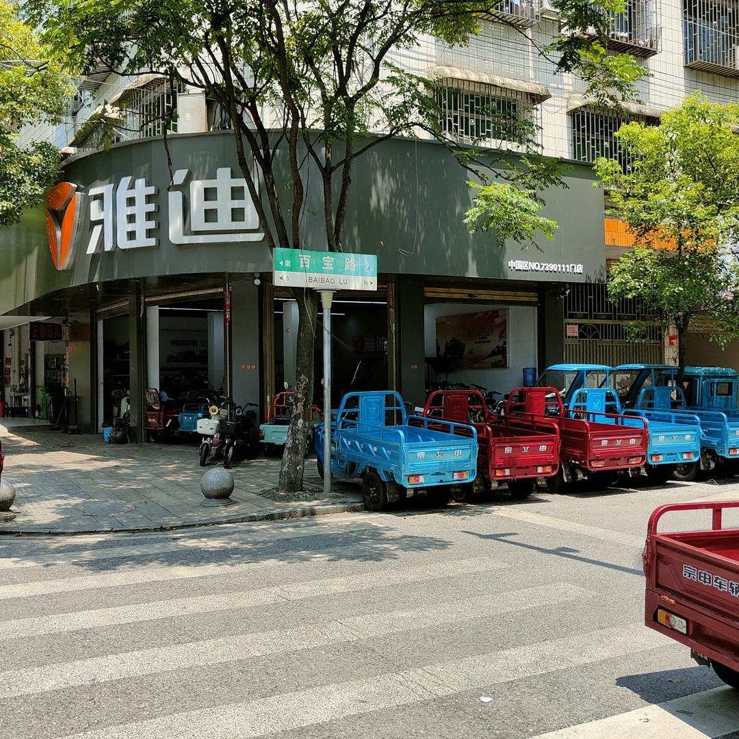 邵东宗申，雅迪，金箭，电动车