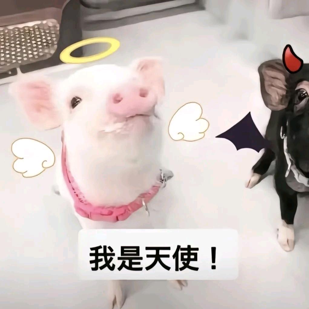 炸虾仁
