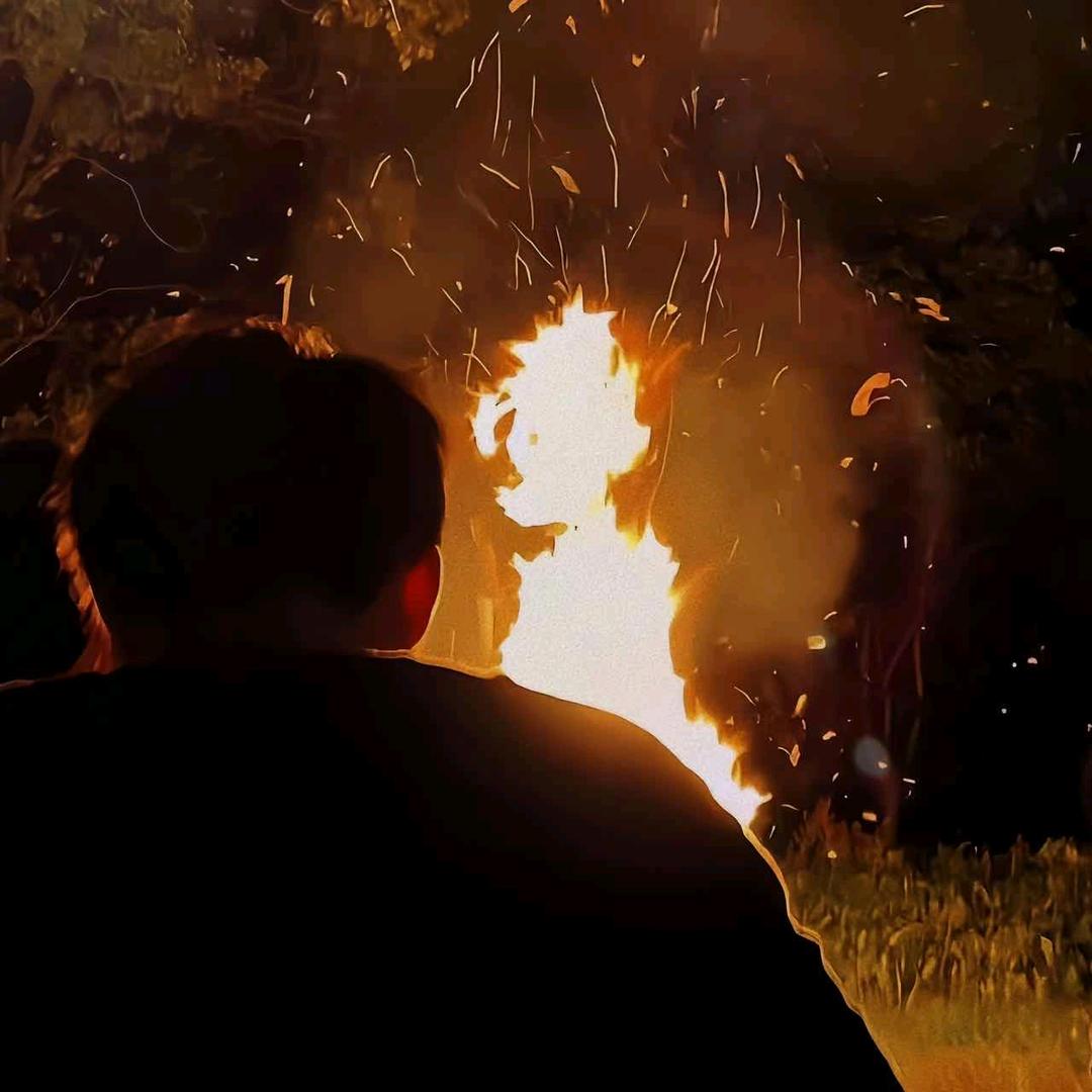 晚风似不在温柔