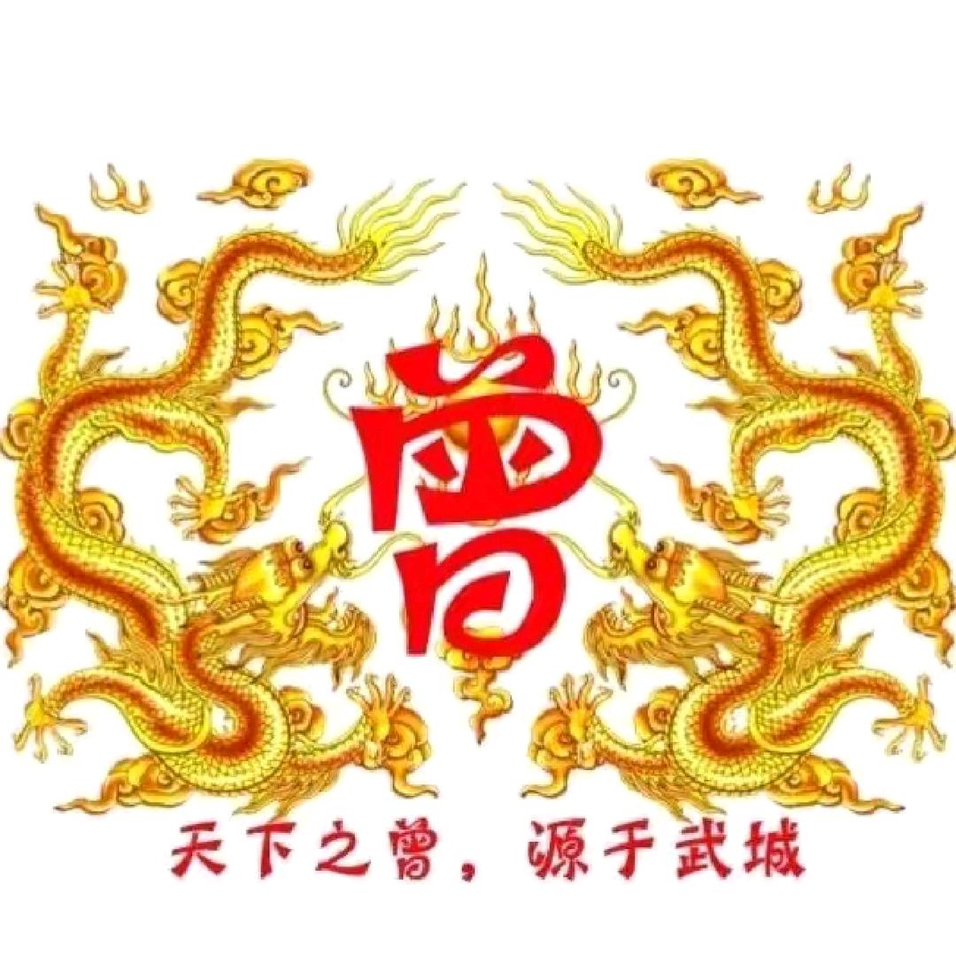曾家大少