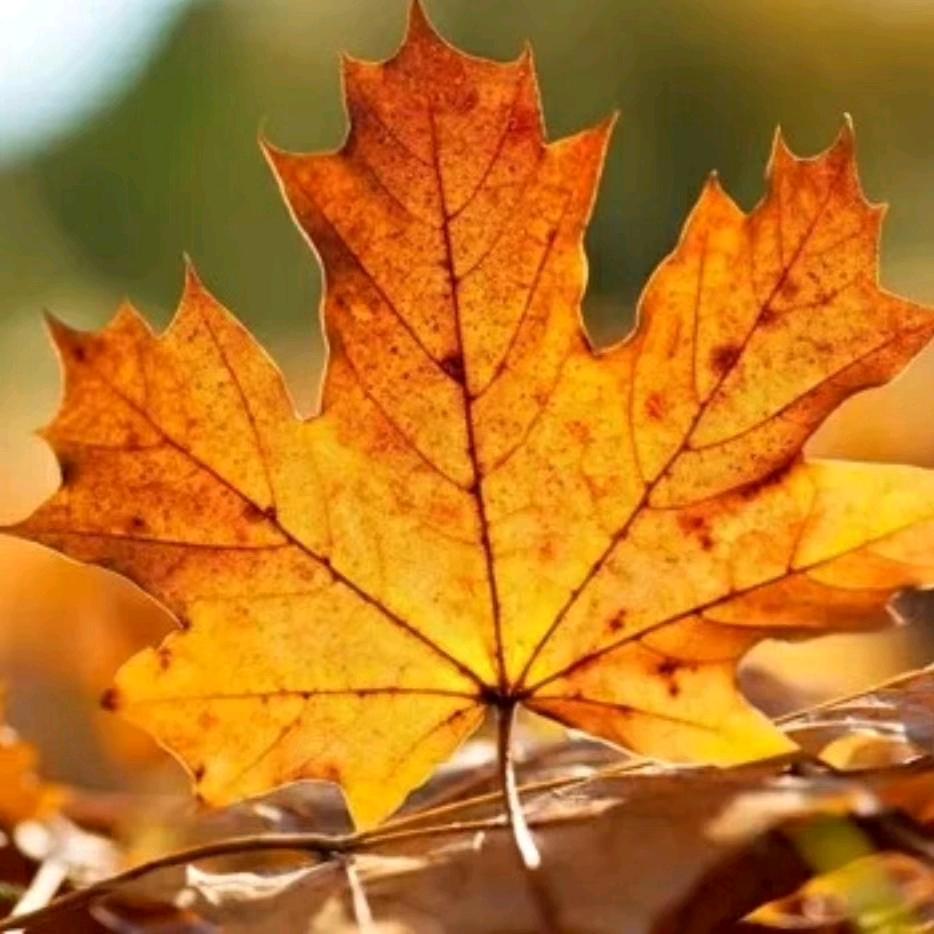 颖颖 带你吃喝玩乐