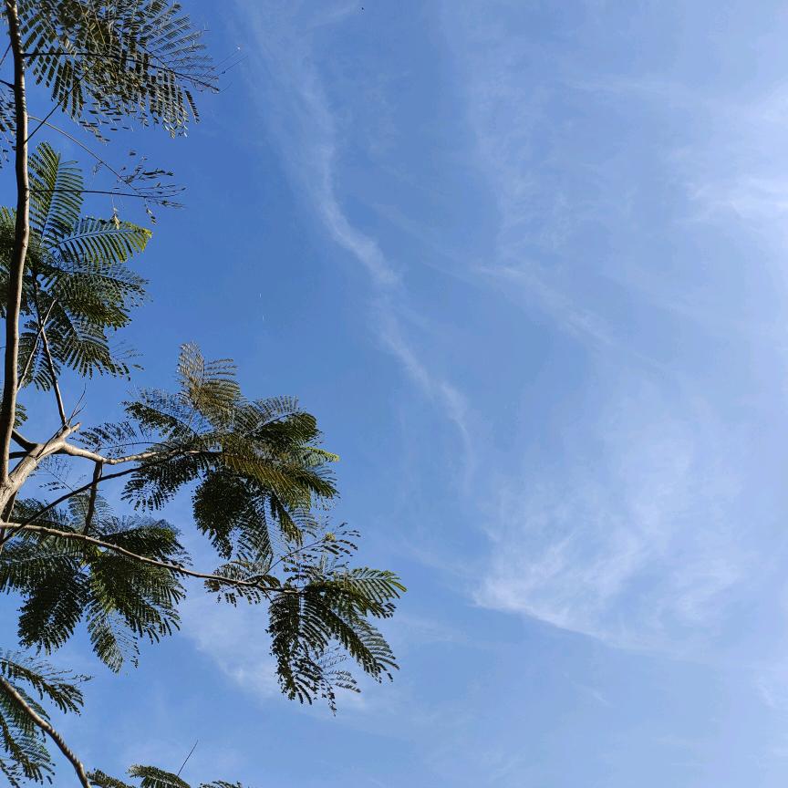 @潮汕胶已人(记录生活)