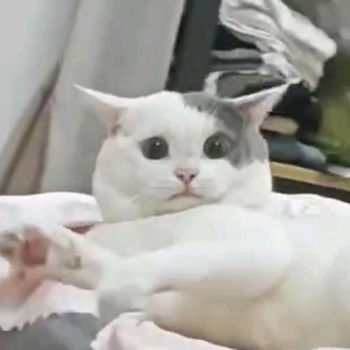刘艳芬