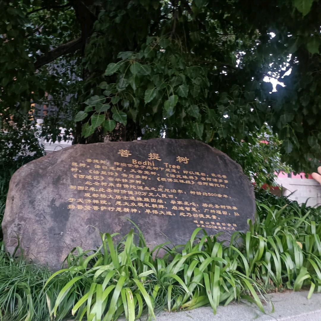 快乐就好啦
