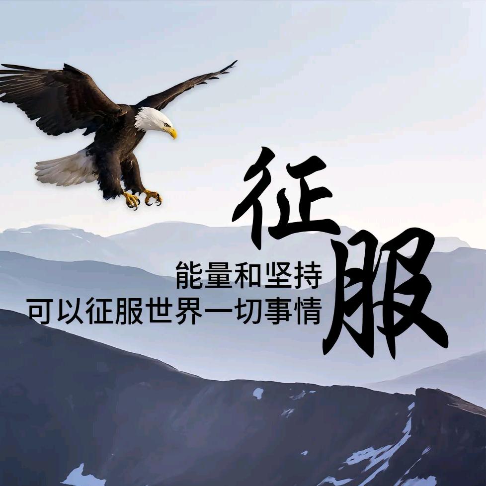 塑风行