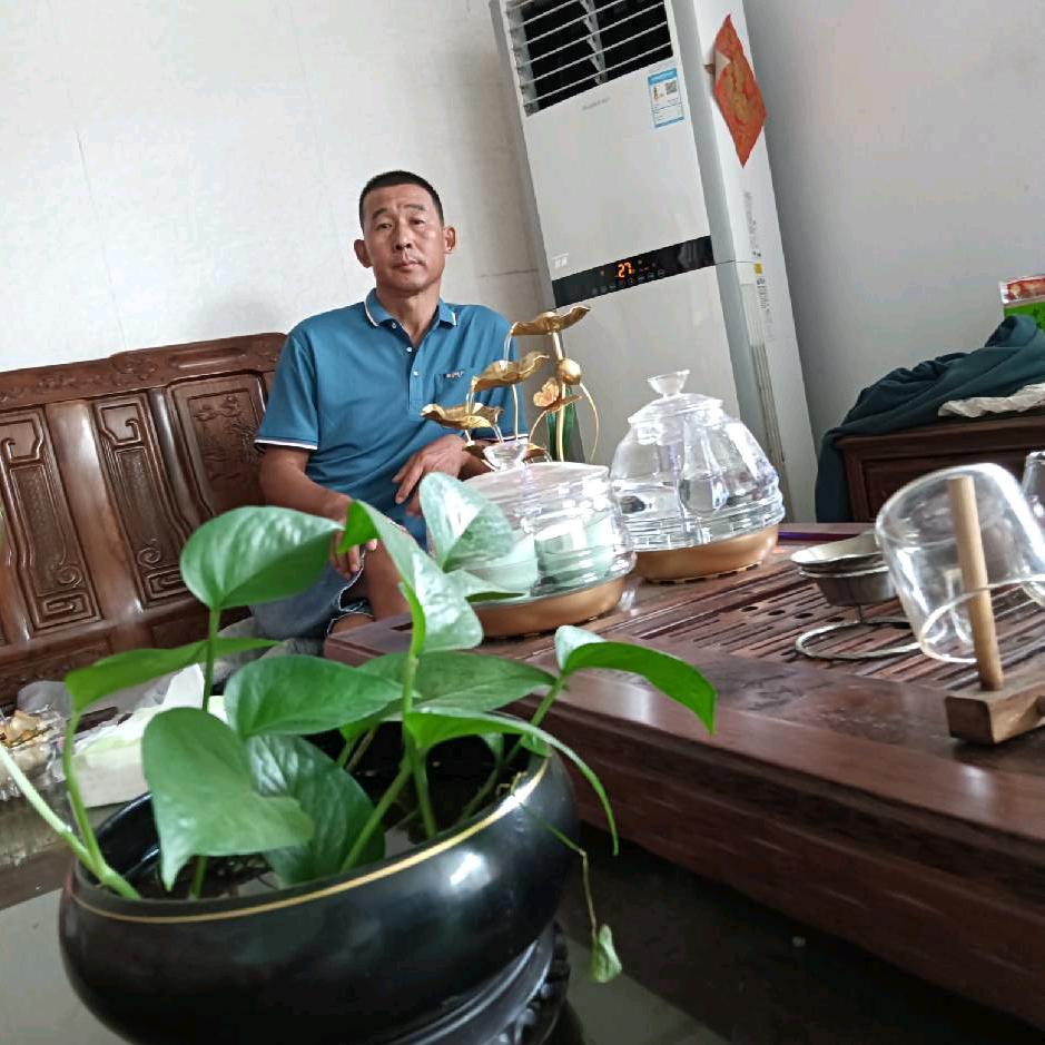 中山市瑞宁建设有限公司。