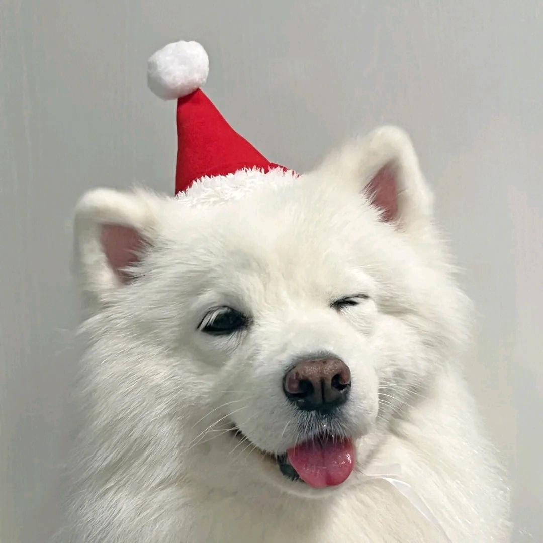 未响应