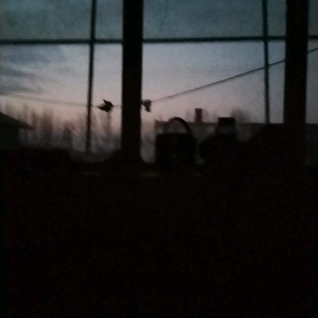 用户773火山使者…