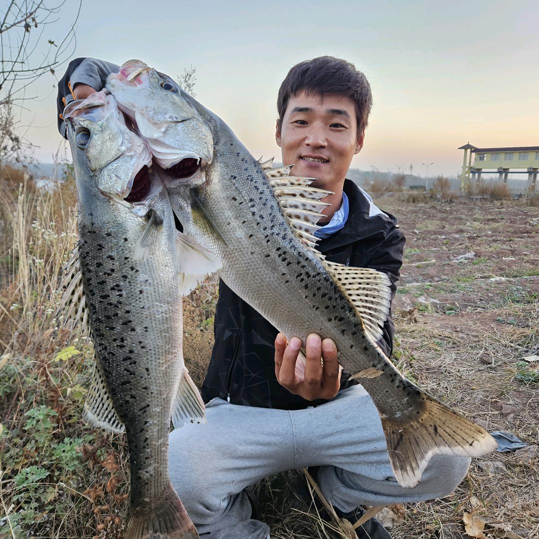 渔人青峰