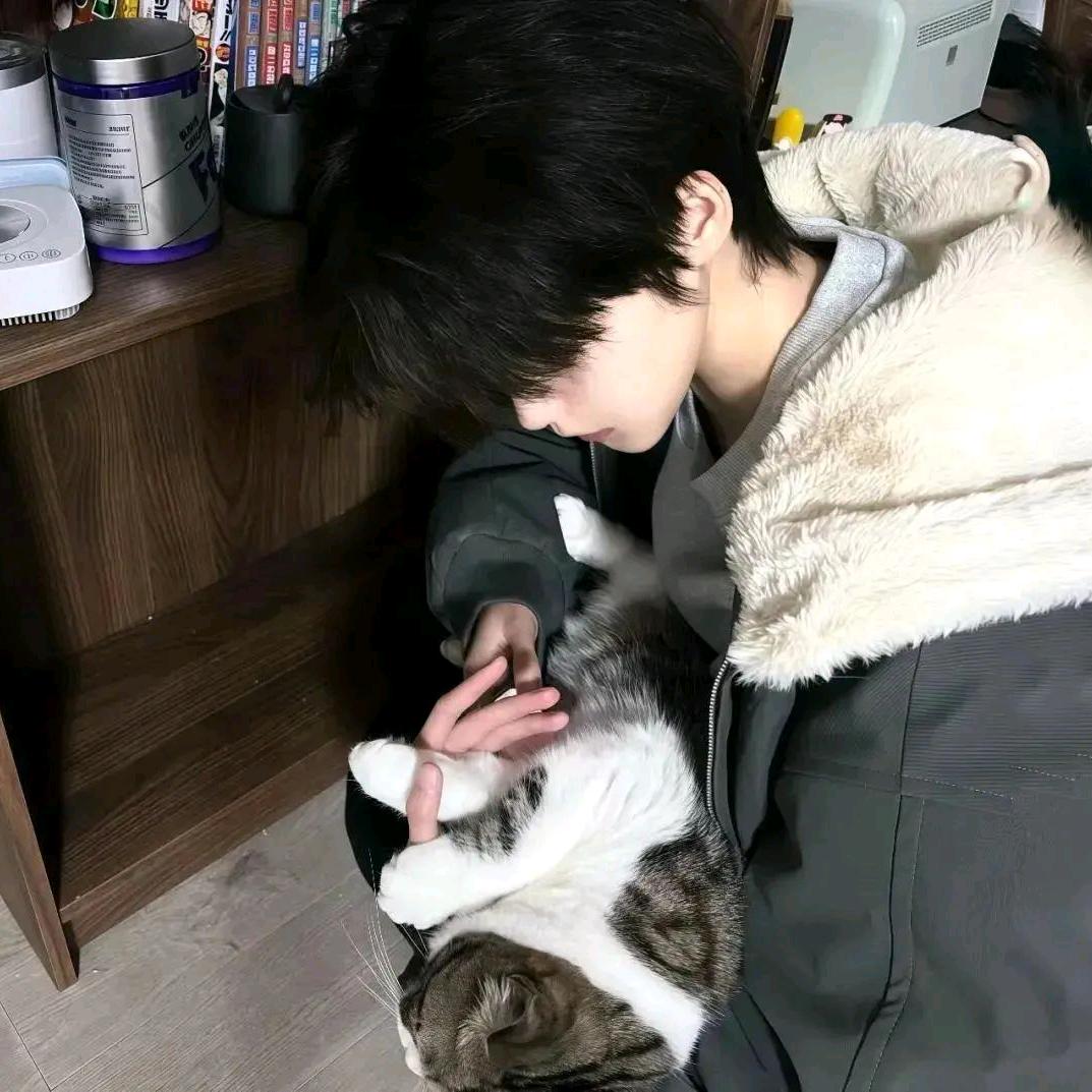 爱撸猫