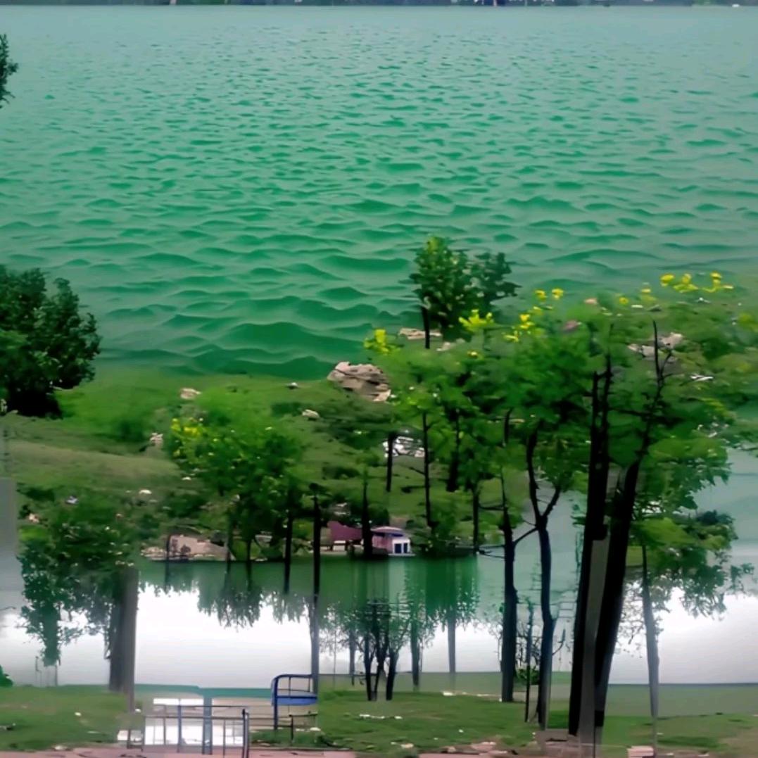 风酸交友～大家一起聊