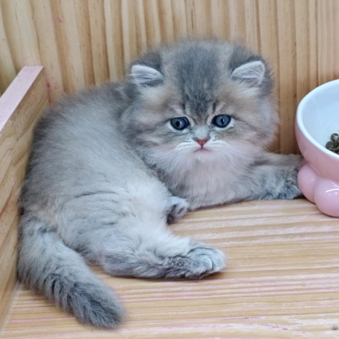 最后.