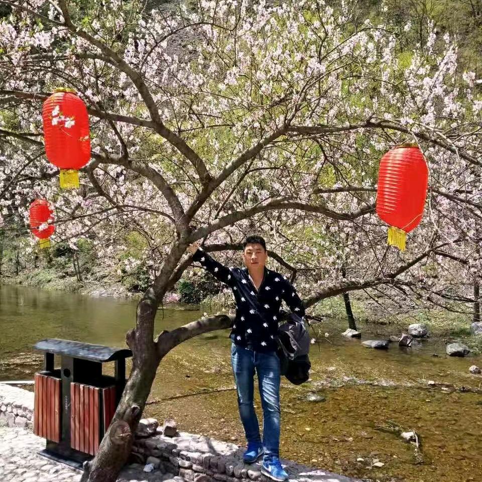 禅