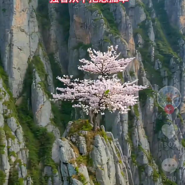 忘记密码，本人已冻结