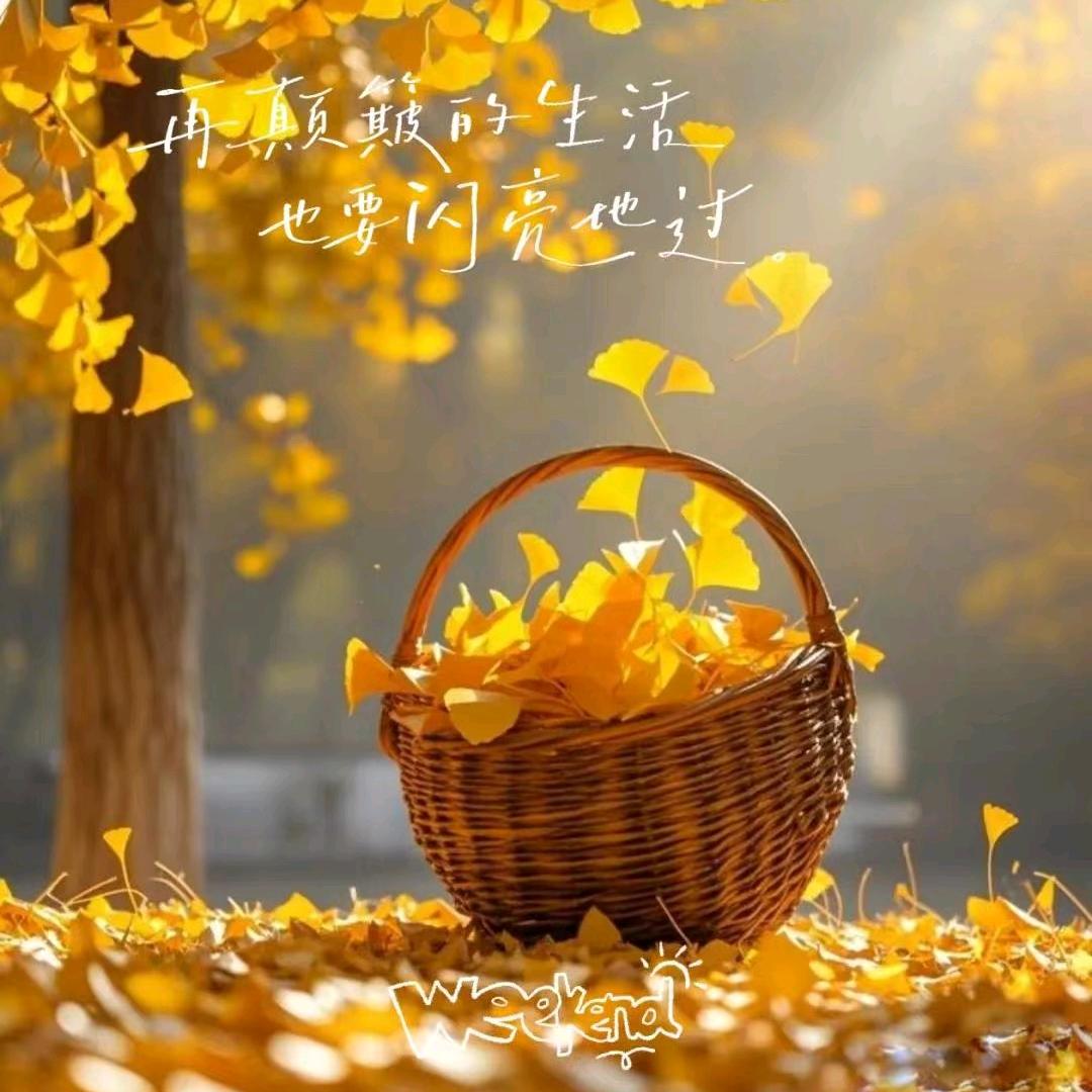静姐
