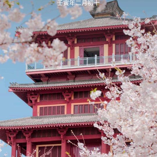 为你明灯三千 为你花开满城