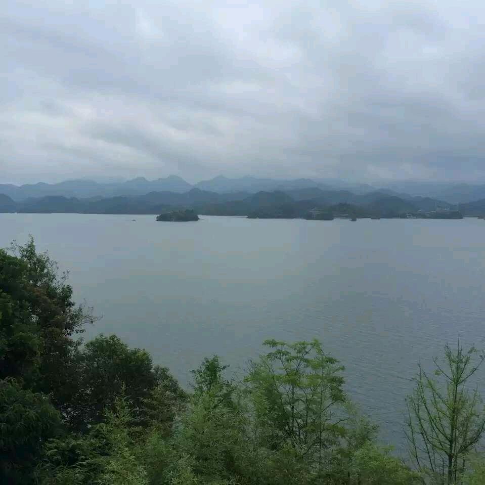 无情动漫