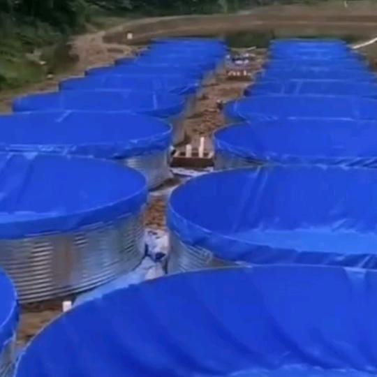 万亩养殖基地