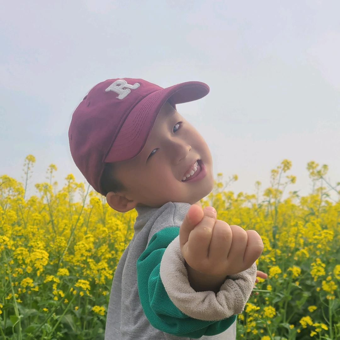 与龙共舞头像