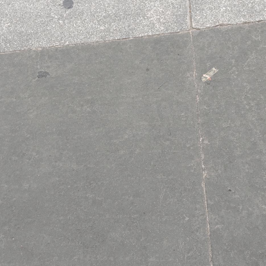 家和万事兴郭青辰