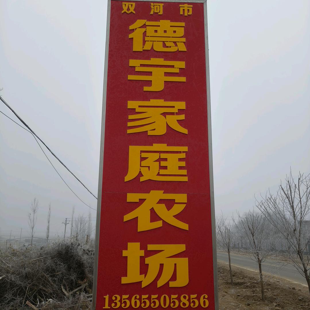 男人本色