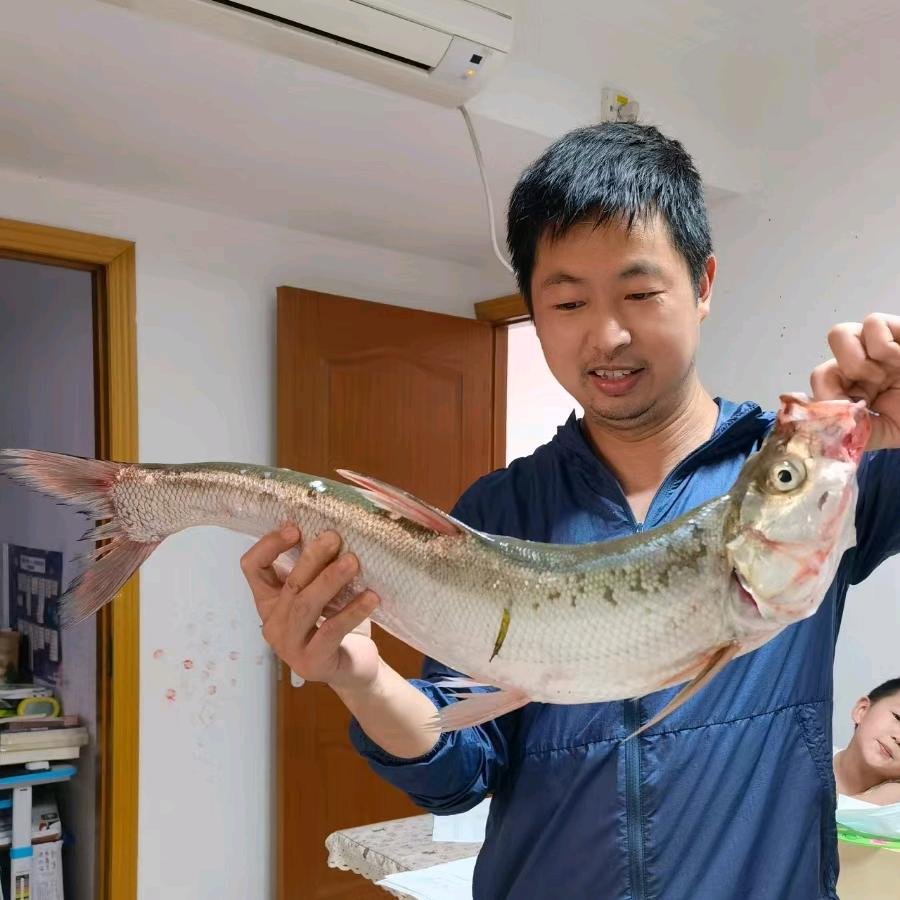 钓鱼新手