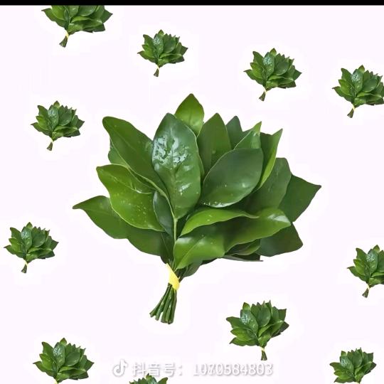 卖莲藕的小大姐