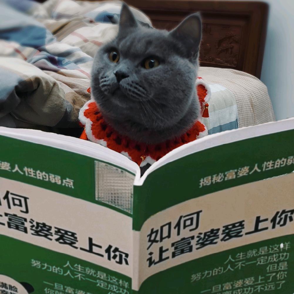陈大赚