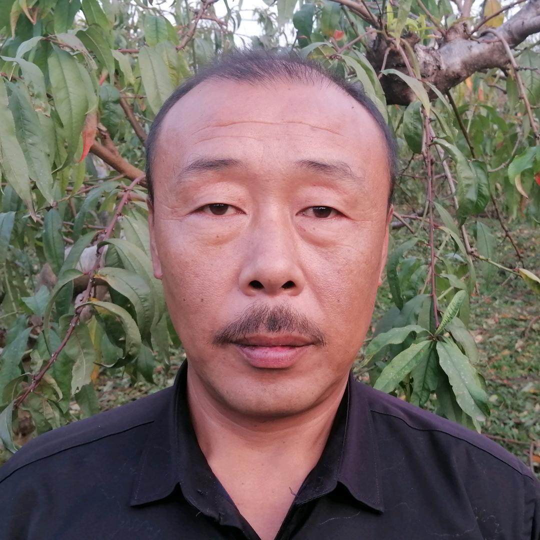 临猗县耽子镇霍村惠农农业技术服务站