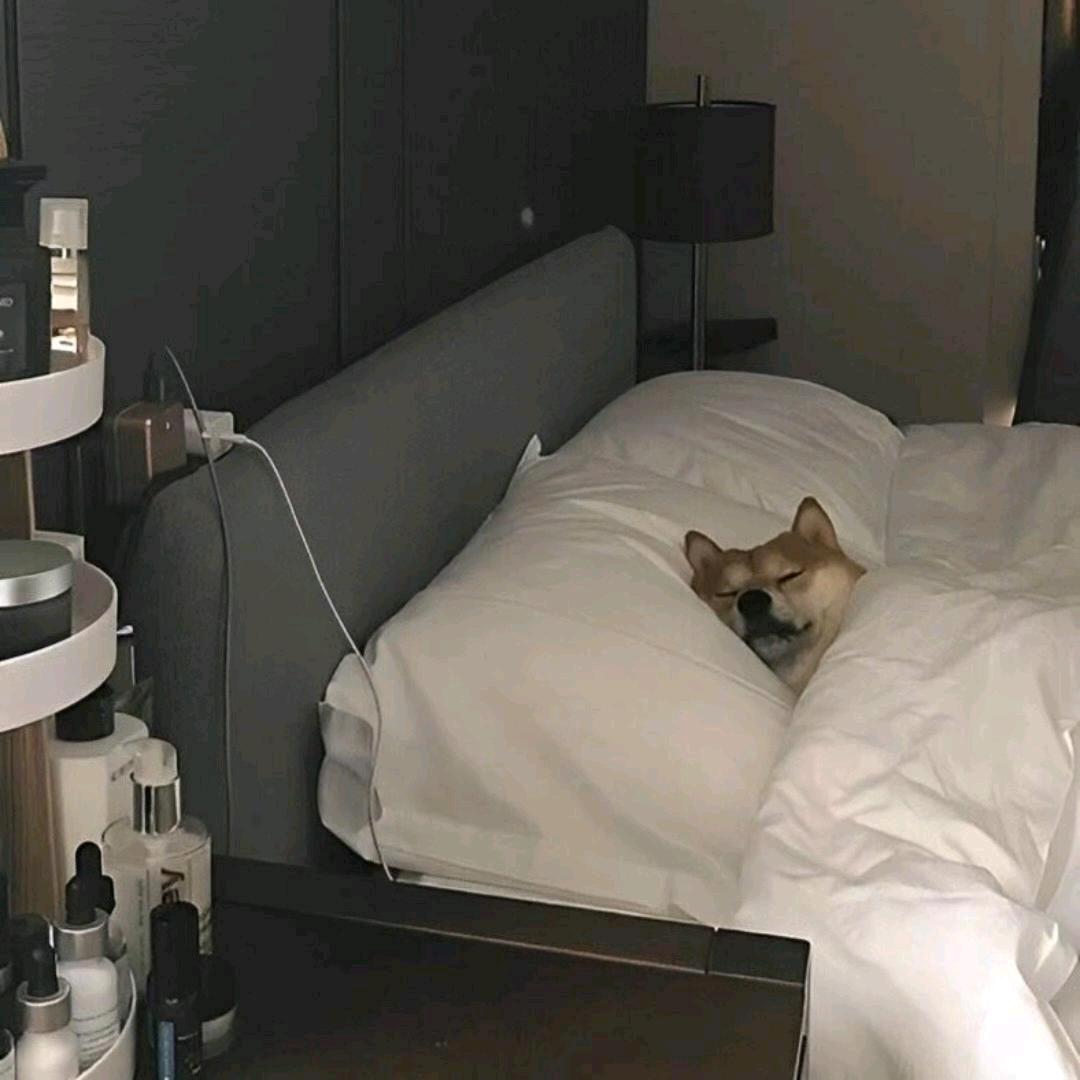 春泥