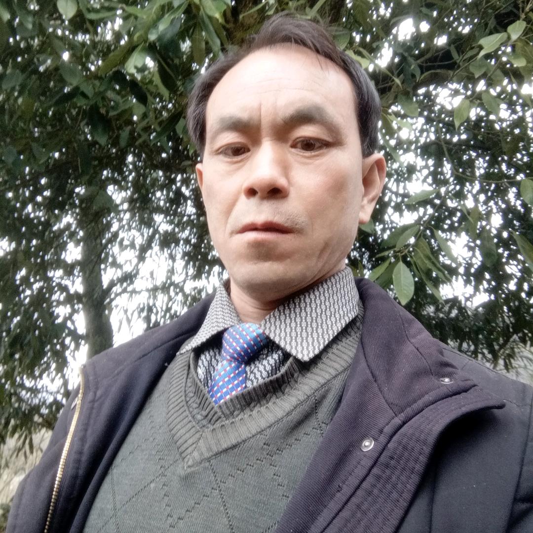 蜂寨王之蜂神也