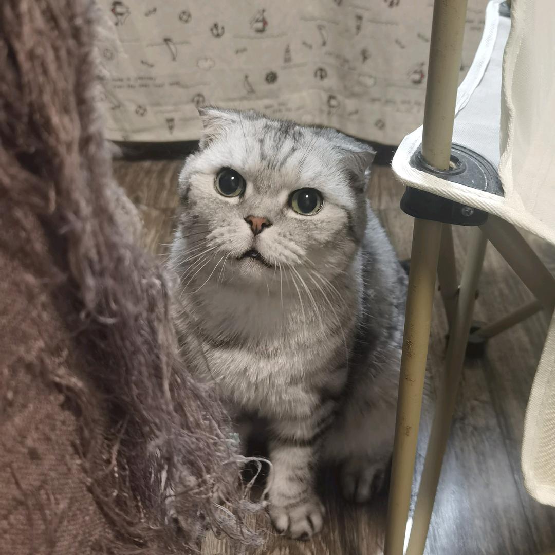 湘成