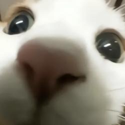 开