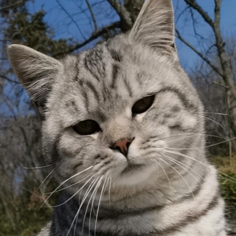 杨姐