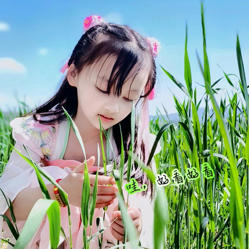 小糯米✨