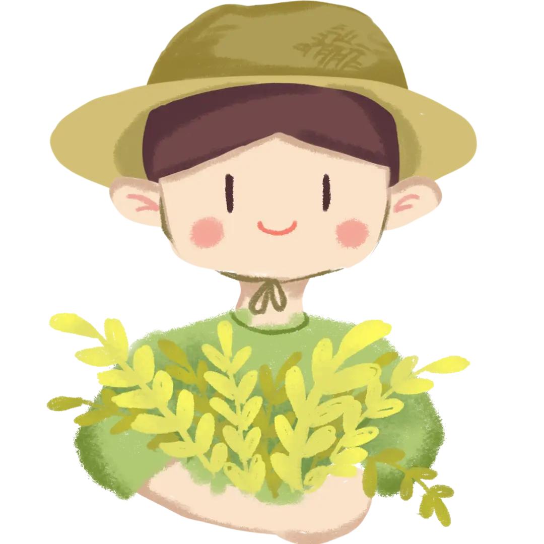 农业植保🌾麦子（谢绝连赞）