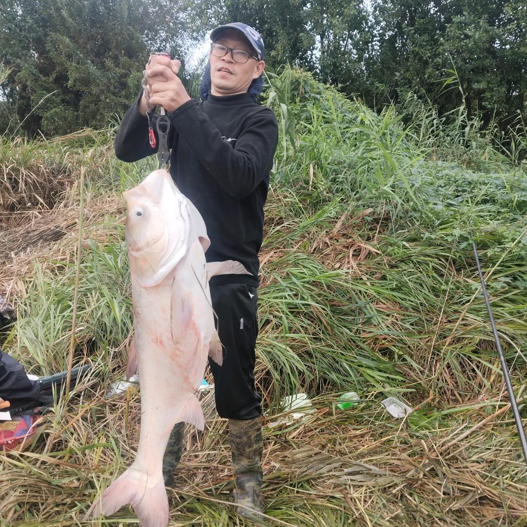 老赵是个钓鱼佬